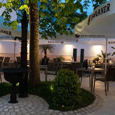 Adler Aepfingen Zajazd