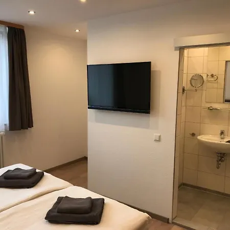 Adler Aepfingen Zajazd *