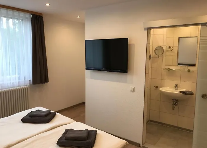 Adler Aepfingen Inn *